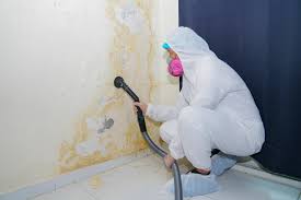 Why You Should Choose Our Mold Remediation Services in Clyde, TX